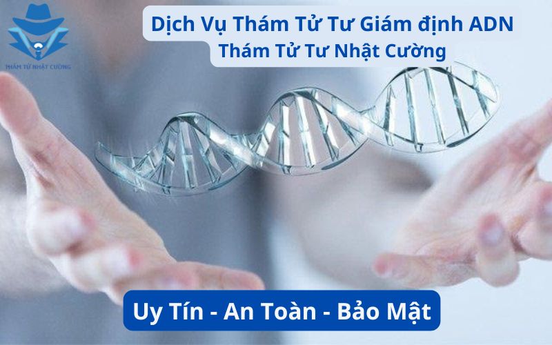 Dịch vụ thám tử giám định ADN chuyên nghiệp